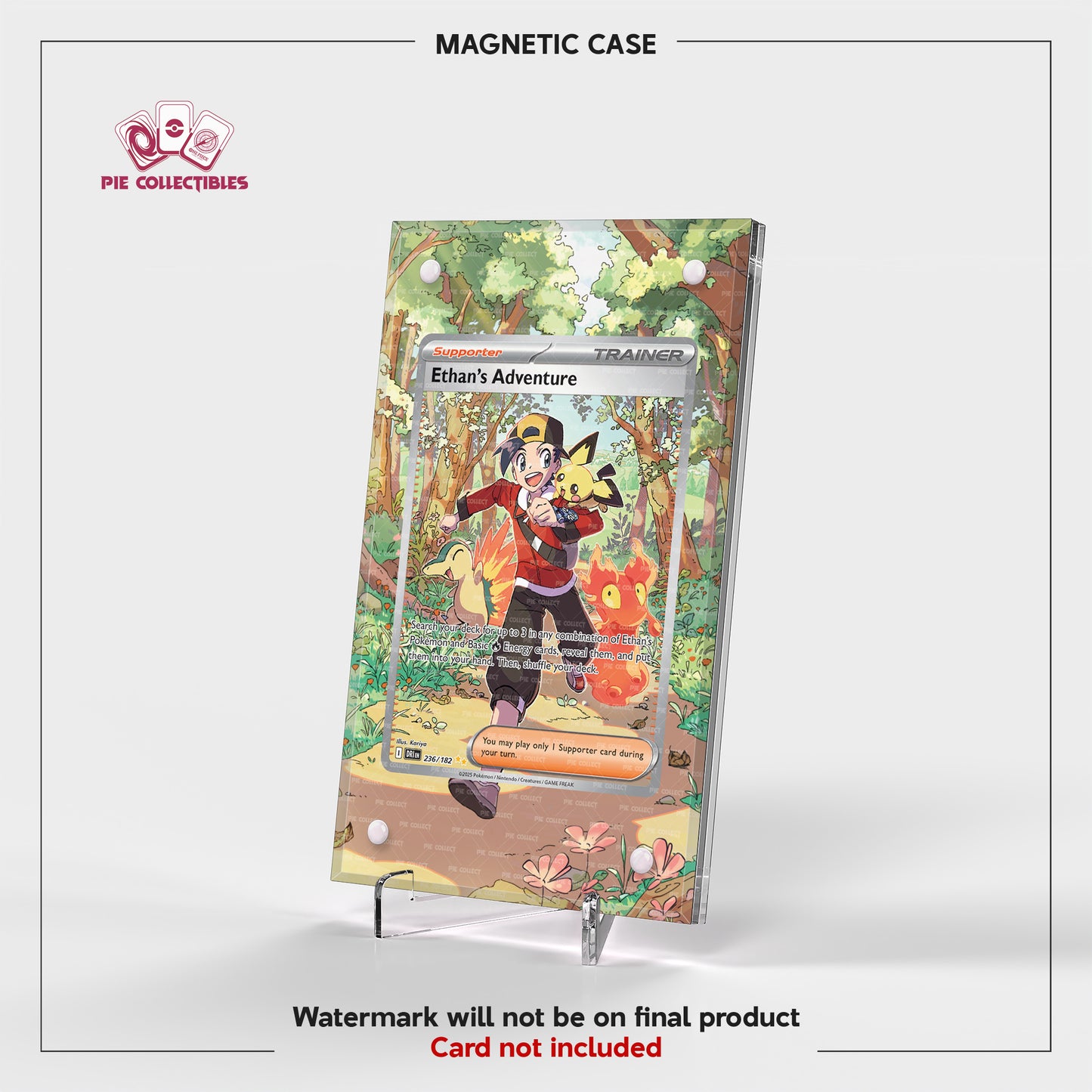 Ethan's Adventure - 236/182 - Destined Rivals - Extended Artwork Display Case