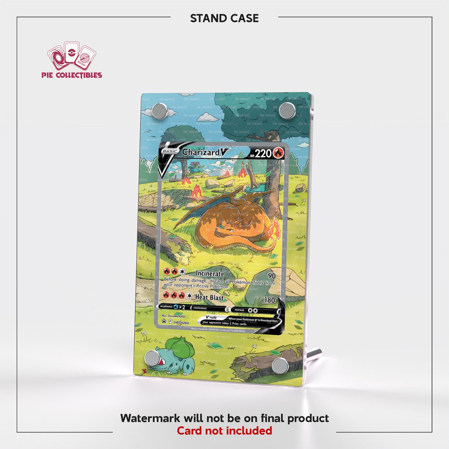 Charizard V - PROMO - SWSH260 - Extended Artwork Display Case